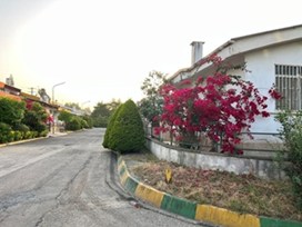 اجاره ویلا داخل نمک آبرود