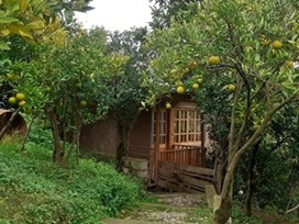 اجاره کلبه چوبی در جنگل جواهرده